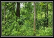 Lot 4 at Creekview Retreat property photo