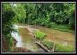 More of Lot 4 at Creekview Retreat