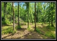 Lot 4 at Creekview Retreat property photo