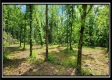 Lot 4 at Creekview Retreat property photo