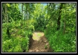 Lot 4 at Creekview Retreat property photo