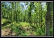 Lot 4 at Creekview Retreat property photo