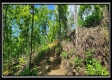 Lot 4 at Creekview Retreat property photo