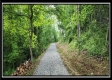 More of Lot 4 at Creekview Retreat