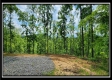 Lot 4 at Creekview Retreat property photo