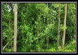 Lot 4 at Creekview Retreat property photo