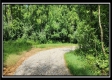 Lot 4 at Creekview Retreat property photo