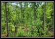 Lot 4 at Creekview Retreat property photo