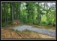 Lot 4 at Creekview Retreat property photo