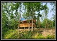 Freedom View Cabin property photo
