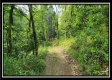 Freedom View Cabin property photo
