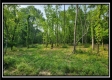 Freedom View Cabin property photo