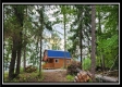 Freedom View Cabin property photo