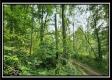 Freedom View Cabin property photo