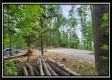 Freedom View Cabin property photo