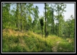 Freedom View Cabin property photo