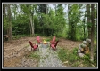 Freedom View Cabin property photo