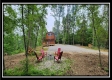 Freedom View Cabin property photo