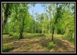 Freedom View Cabin property photo
