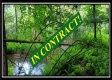 Tract 6 - New Lexington Woods