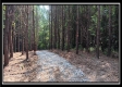 Tract 6 - New Lexington Woods property photo