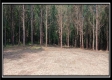 Tract 6 - New Lexington Woods property photo