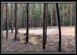Tract 6 - New Lexington Woods property photo