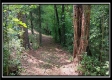 Tract 6 - New Lexington Woods property photo