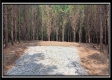 Tract 6 - New Lexington Woods property photo