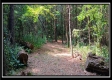 Tract 6 - New Lexington Woods property photo