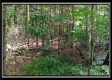 Tract 6 - New Lexington Woods property photo