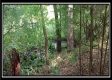 Tract 6 - New Lexington Woods property photo