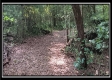 Tract 6 - New Lexington Woods property photo