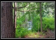Tract 6 - New Lexington Woods property photo