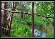 Tract 6 - New Lexington Woods property photo