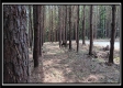 Tract 6 - New Lexington Woods property photo