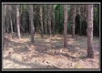 Tract 6 - New Lexington Woods property photo