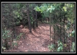 Tract 6 - New Lexington Woods property photo