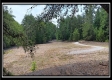 Tract 6 - New Lexington Woods property photo