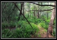 Tract 6 - New Lexington Woods property photo