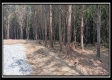 Tract 6 - New Lexington Woods property photo