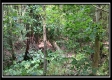 Tract 6 - New Lexington Woods property photo