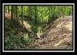 Tract 1 - Muskingum Woods property photo