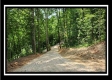 Tract 1 - Muskingum Woods property photo