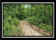 Tract 1 - Muskingum Woods property photo