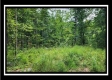 Tract 1 - Muskingum Woods property photo