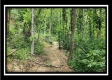 Tract 1 - Muskingum Woods property photo