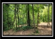 Tract 1 - Muskingum Woods property photo