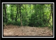 Tract 1 - Muskingum Woods property photo