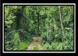 Tract 1 - Muskingum Woods property photo